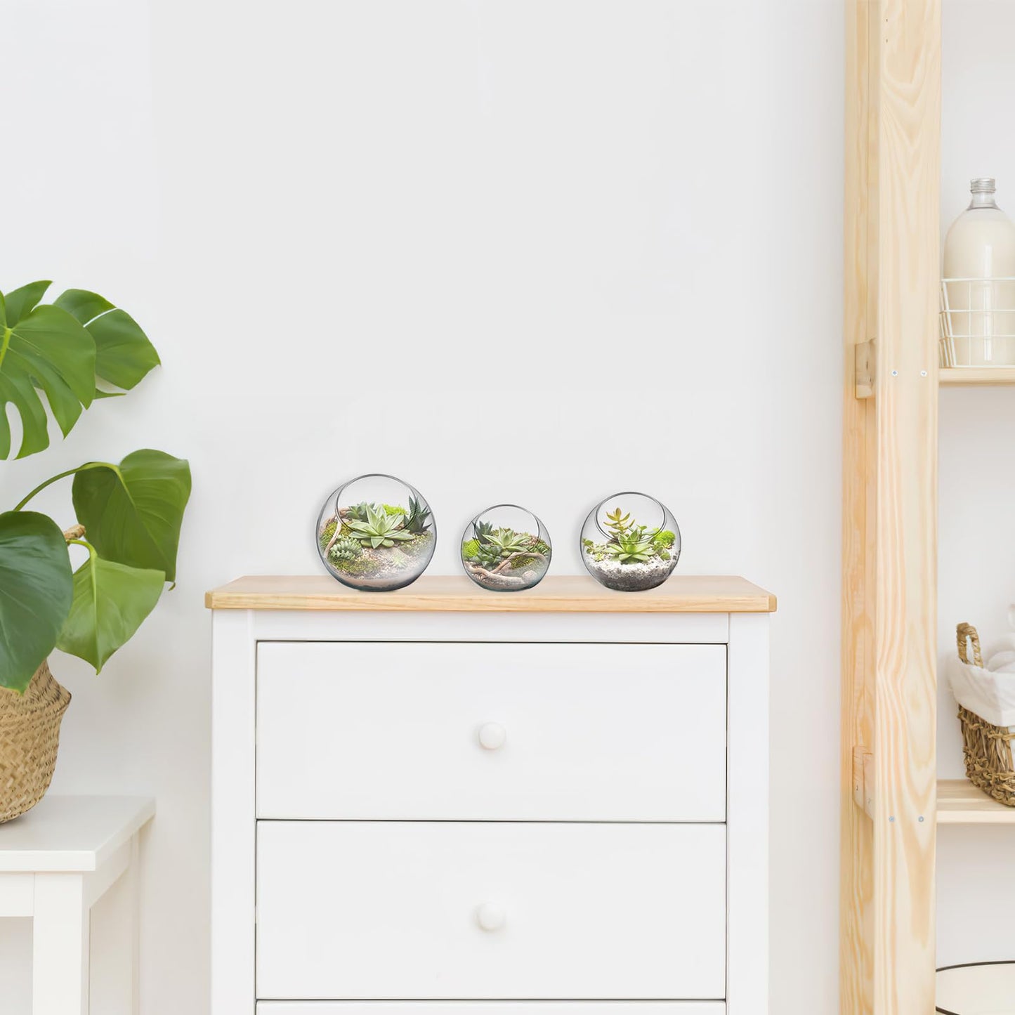 Healeved 3PCS Glass Terrariums for Plants Glass Fish Bowls Plant Terrarium Air Plant Planter Desktop Bubble Bowls Clear Vases Air Plants Holders Succulent Terrarium