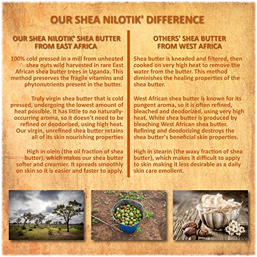 Shea Terra Organics Shea Nilotik' Oil - Fragrance-Free Body & Hair Oil 8 oz