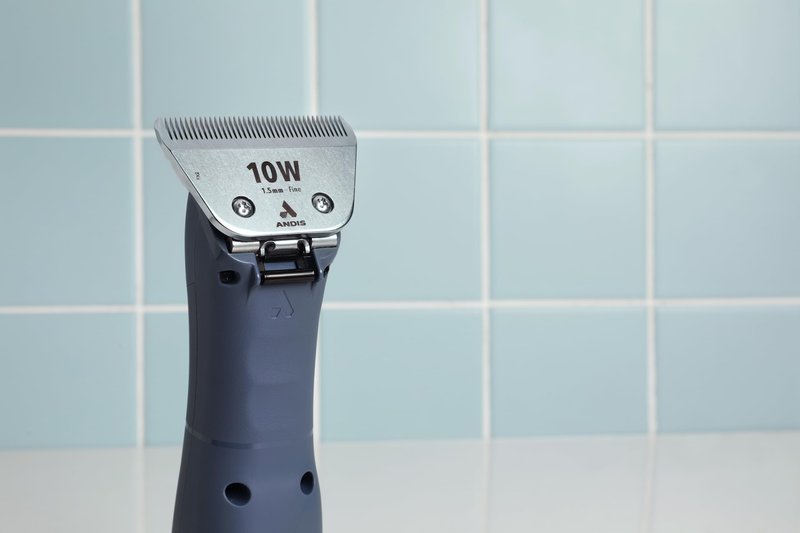 Andis 561460 ceramicEDGE Detachable Wide Blade #10W – Carbon Steel Pet Clipper Blade, Fine Tooth, Professional Grooming Performance