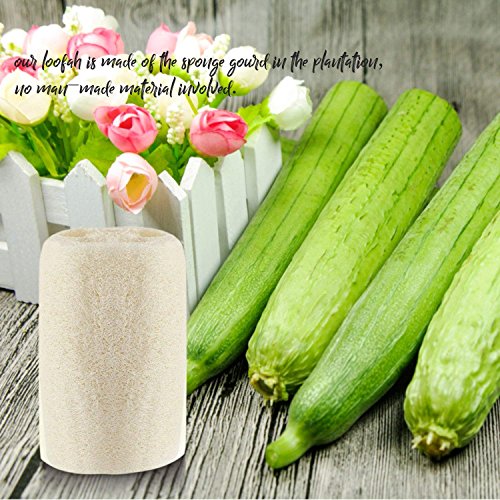 Organic Loofahs 6-Pack Exfoliating Body Wash Sponges - 5"