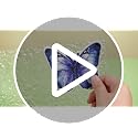 Yaomiao 24 Pcs Butterfly Non-Slip Bathtub Stickers - Safe & Easy to Apply