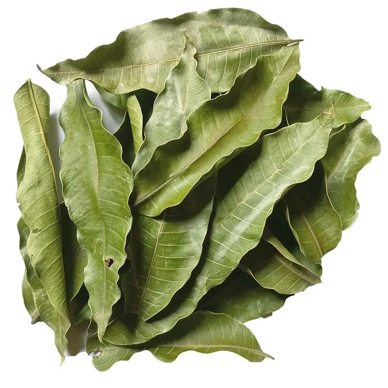 Heawans Dried Mango Leaves - 2oz Freshly Harvested