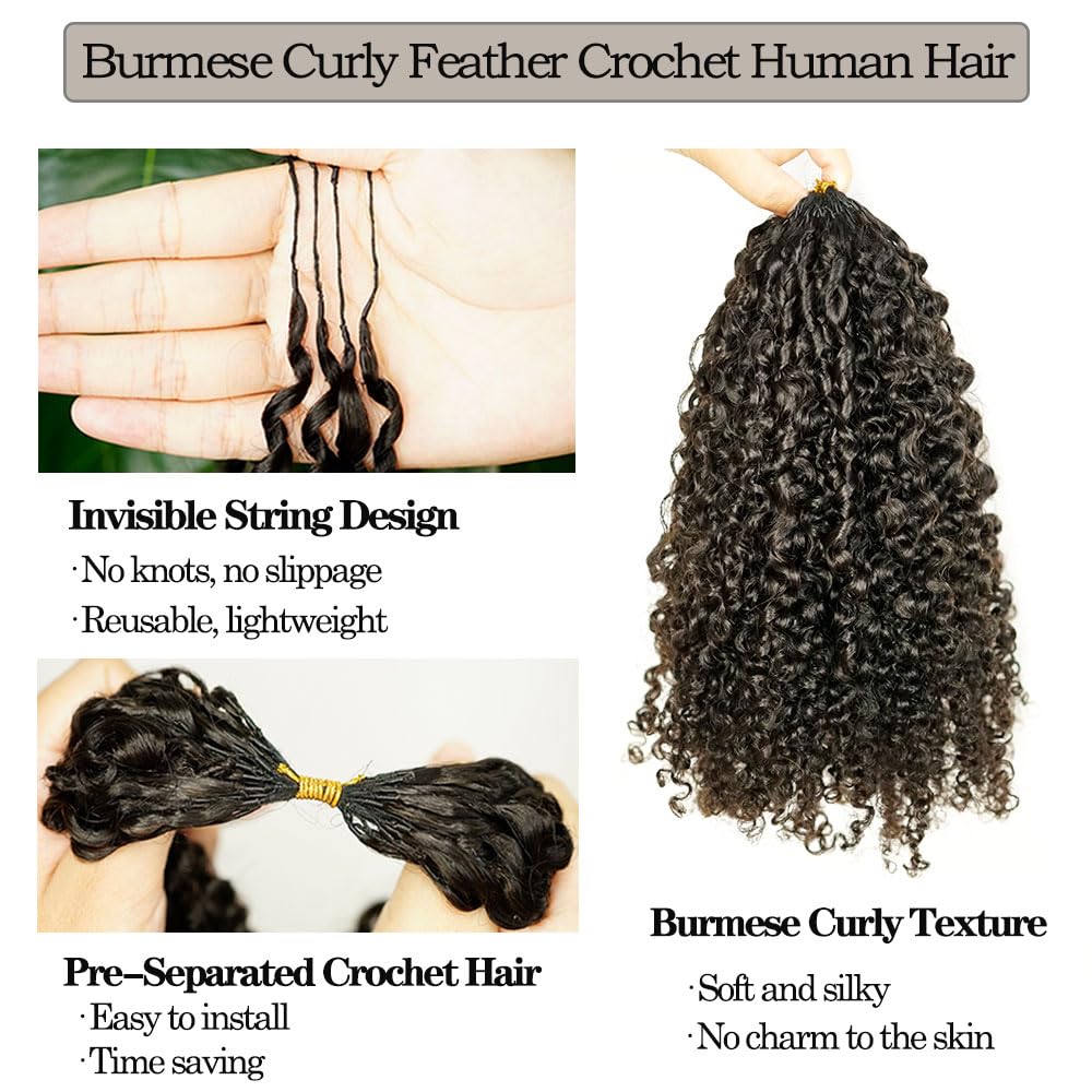 Burmese Curly Crochet Human Hair Extensions Invisible Pre-Separated Burmese Feather Crochet Hair with Knotless String Lightweight Human Crochet Hair Curly for Braiding Twist 60g 20inch
