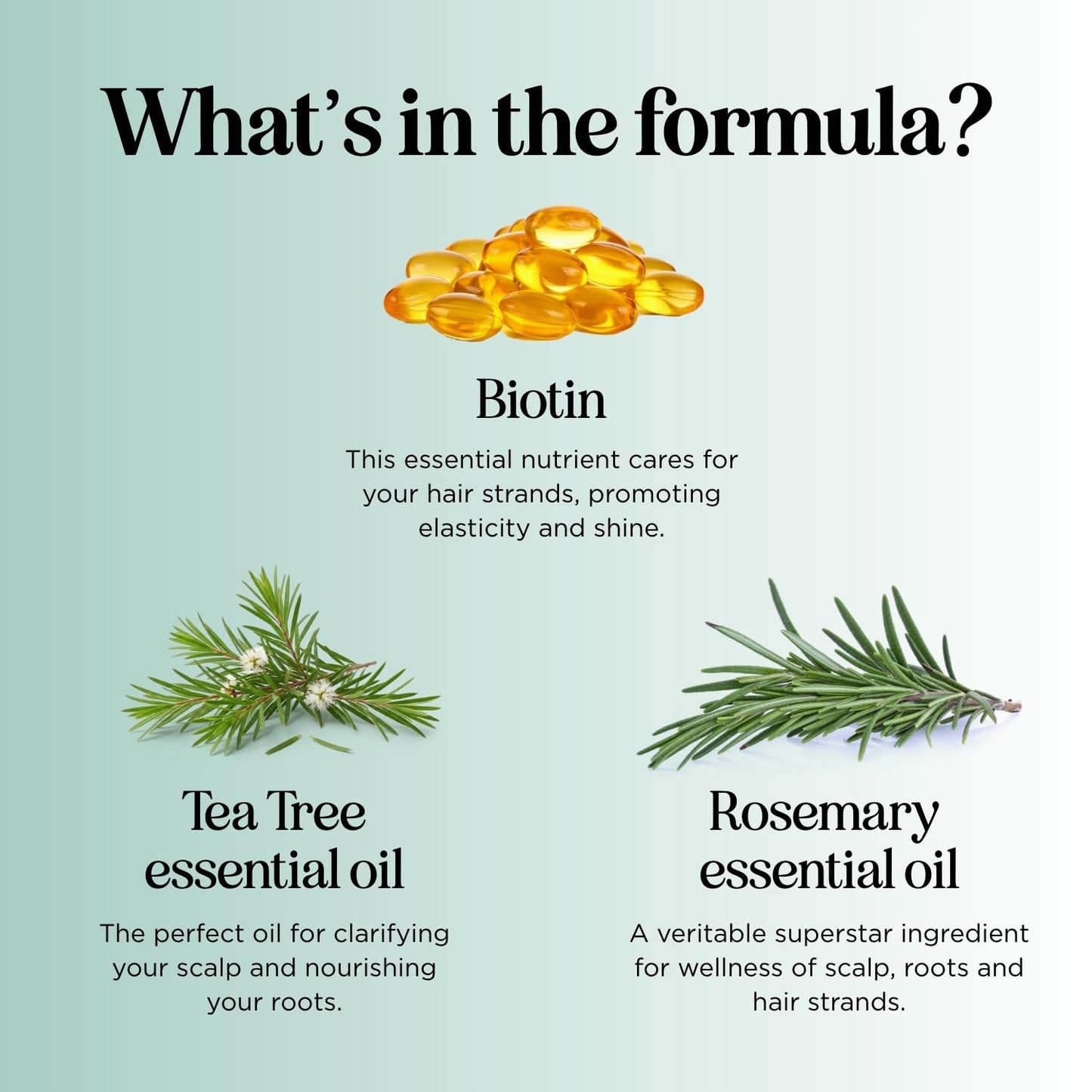 Volumizing Biotin and Rosemary Shampoo - Vegan Rosemary Biotin Shampoo for Thinning Hair for Women and Men with Nourishing B Vitamins & Tea Tree Oil - Paraben Silicone & Sulfate Free (25 Fl Oz)