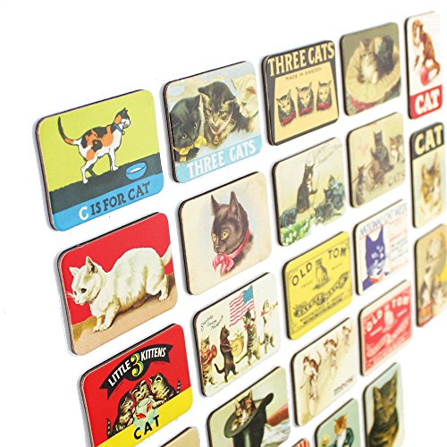 Set of 24 Vintage Cat Refrigerator Magnets for Kitchen & Office
