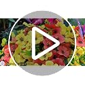 20 Bundles UV-Resistant Artificial Fall Flowers with Butterflies