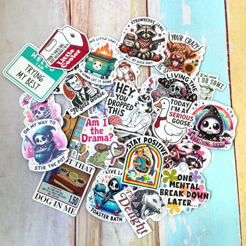 25PC Funny Refrigerator Magnets Set - Humorous Quotes & Designs