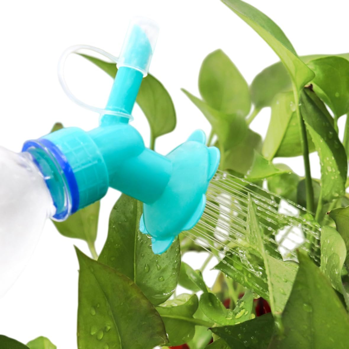Dual Head Bottle Watering Sprinkler - 2-in-1 Nozzle Sprayer for Seedlings, Indoor Plants & Garden Pots