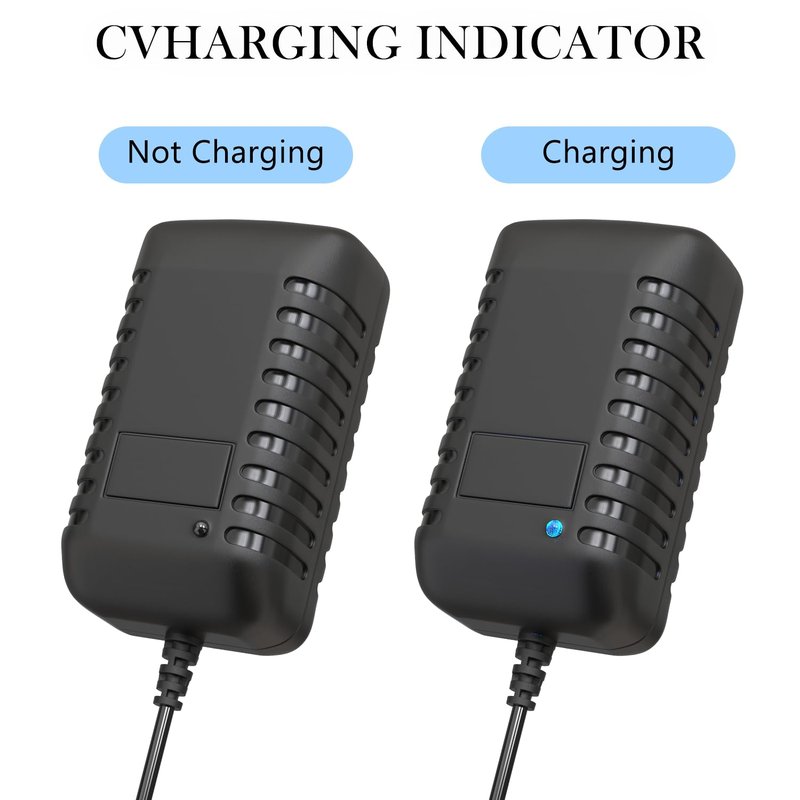 Charger for INSE Cordless Vacuum Cleaner, Power Cord Compatible with INSE N5 N5S N500 N550 N560 N570 N6 N6S N600 N650 N660 V70, for Wowgo S108 Vacuum Adapter Power Supply