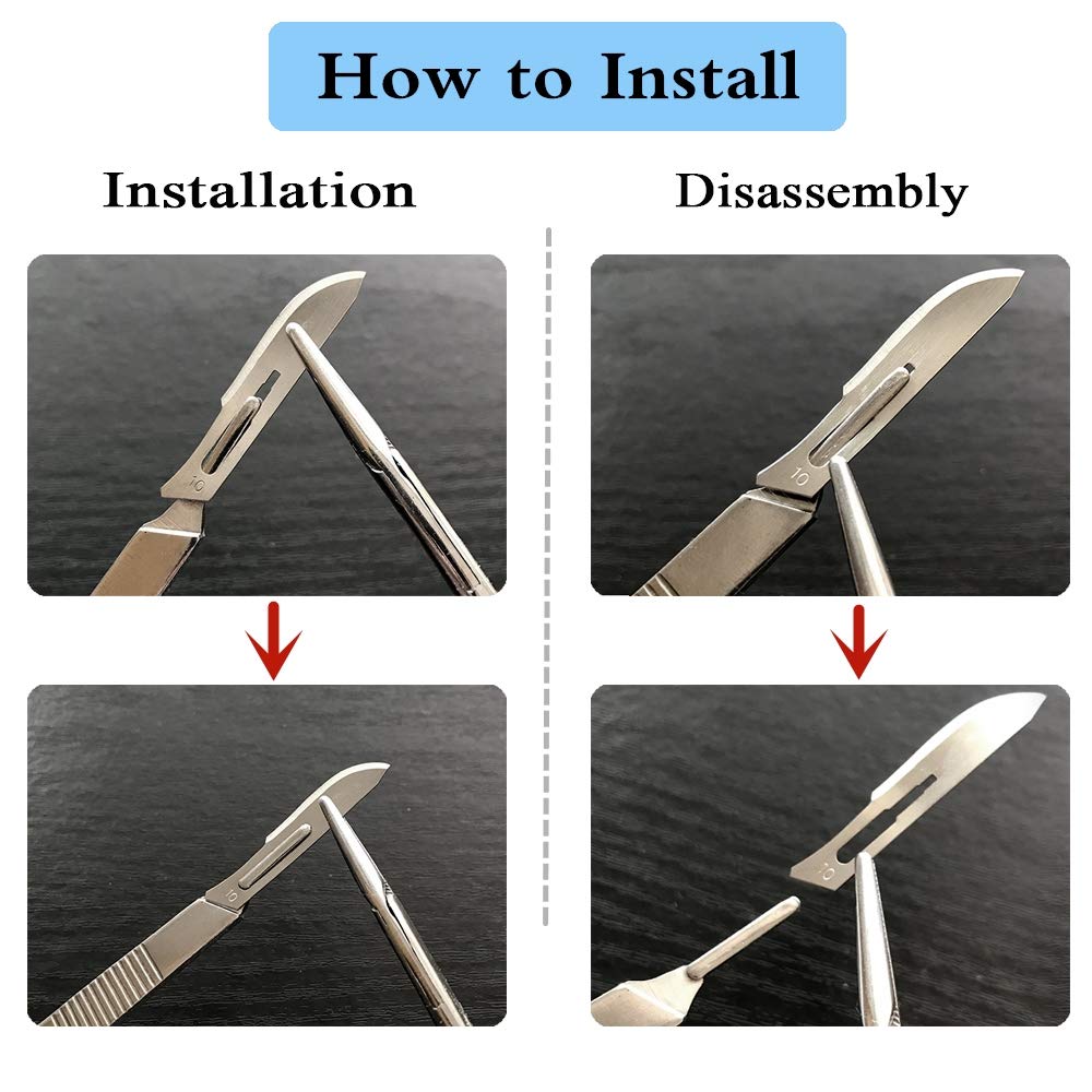 Surgical Grade Blades #11 50pcs Sterile Scalpel Blades Individually Wrapped, with Storage Case, for Biology Lab Anatomy, Practicing Cutting, Medical Student, Sculpting, Repairing (#11, 50)