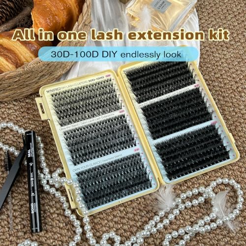 Winifred Lash Clusters Kit A-30D/40D/50D/60D/80D/100D 696 Pcs Eyelash Extensions