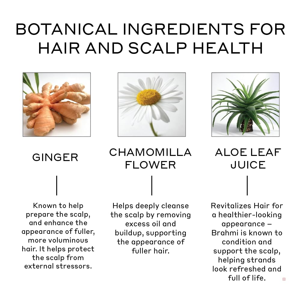 ZENAGEN Revolve Conditioner (Unisex) | Supports Scalp Health & Appearance of Fuller, Healthier Hair, Developed for Fine & Visibly Thinning Hair, Plant-Based, Color-Safe, Vegan, 473 mL / 16 oz