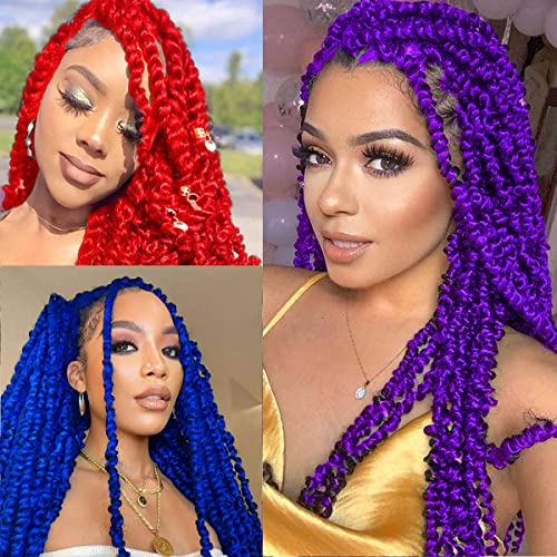 24 Inch Purple Passion Twist Hair - 2 Packs Water Wave Crochet Extensions