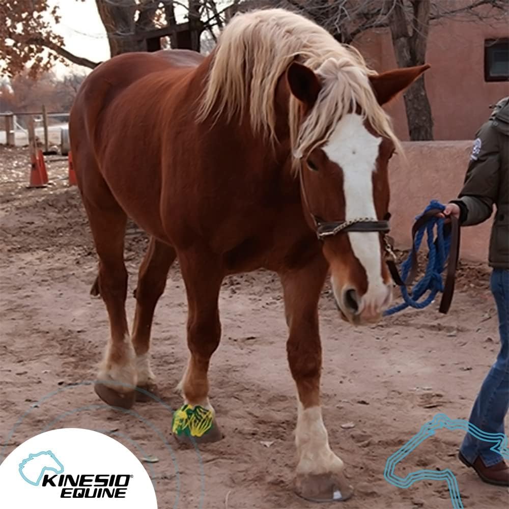 Kinesio Equine Tape - Tex Gold FP Horse Tape -Tape Made Specifically for Horses - 2”x 16’ Rolls - Yellow
