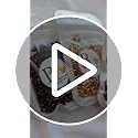 Peach Silver Lined Loc Sprinkle Beads - 4mm Hair Jewelry for Dreadlocks