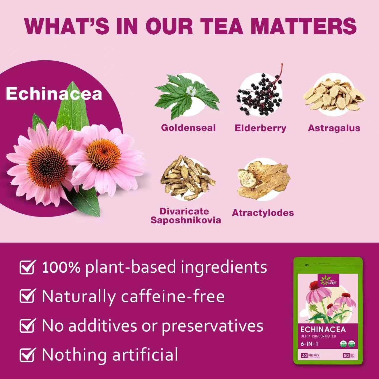 EnrychLeafo Echinacea Herb Tea with Elderberry & Goldenseal - Helps Combat Free Radicals & Provides Immune & Respiratory Support - Caffeine Free - 50 Tea Bags