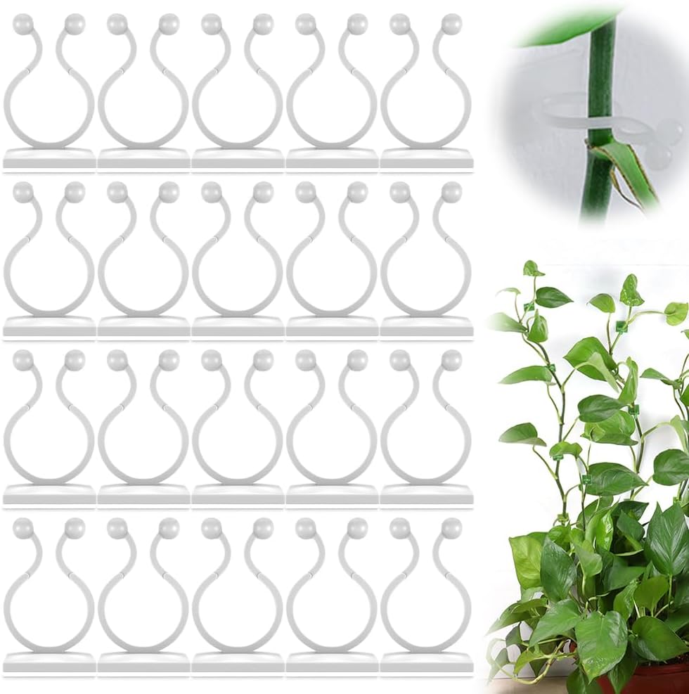 Plant Climbing Wall Fixture Clips - Self-Adhesive Support Hooks for Indoor/Outdoor Vines | 100 Pack, Green