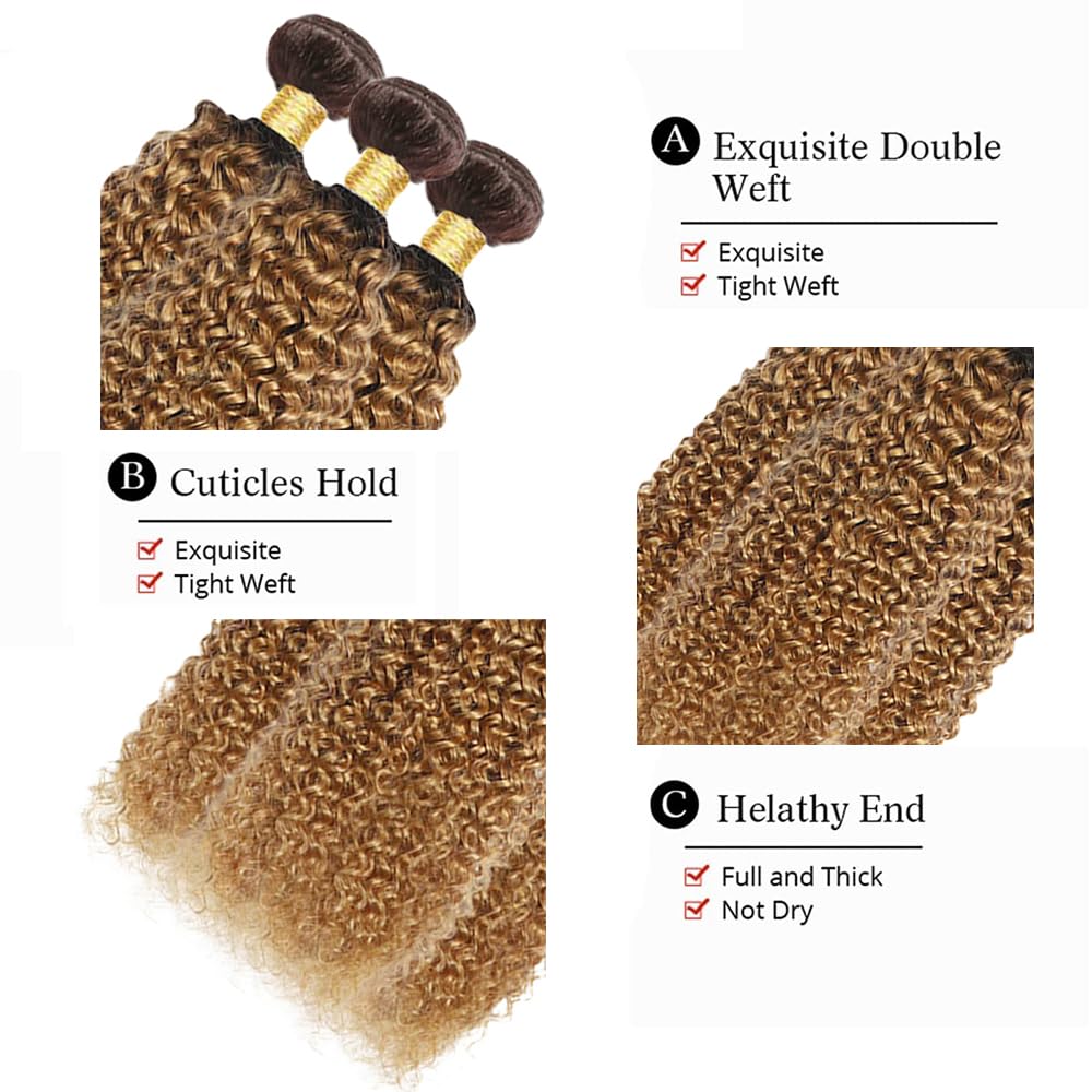 Ombre Human Hair Bundles T4/27 Kinky Curly Bundles Brazilian Virgin Hair 3 Bundles 22 24 26 Inch 2 Tone Brown and Honey Blonde
