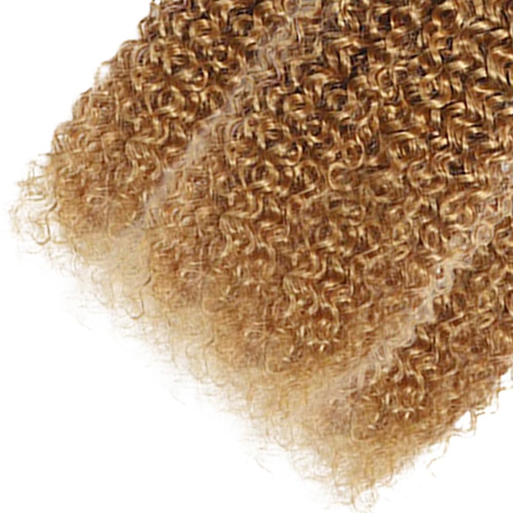 Ombre Human Hair Bundles T4/27 Kinky Curly Bundles Brazilian Virgin Hair 3 Bundles 22 24 26 Inch 2 Tone Brown and Honey Blonde