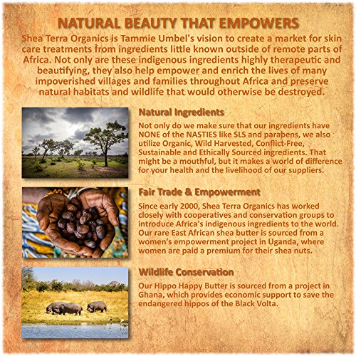 Shea Terra Organics Shea Nilotik' Oil - Fragrance-Free Body & Hair Oil 8 oz