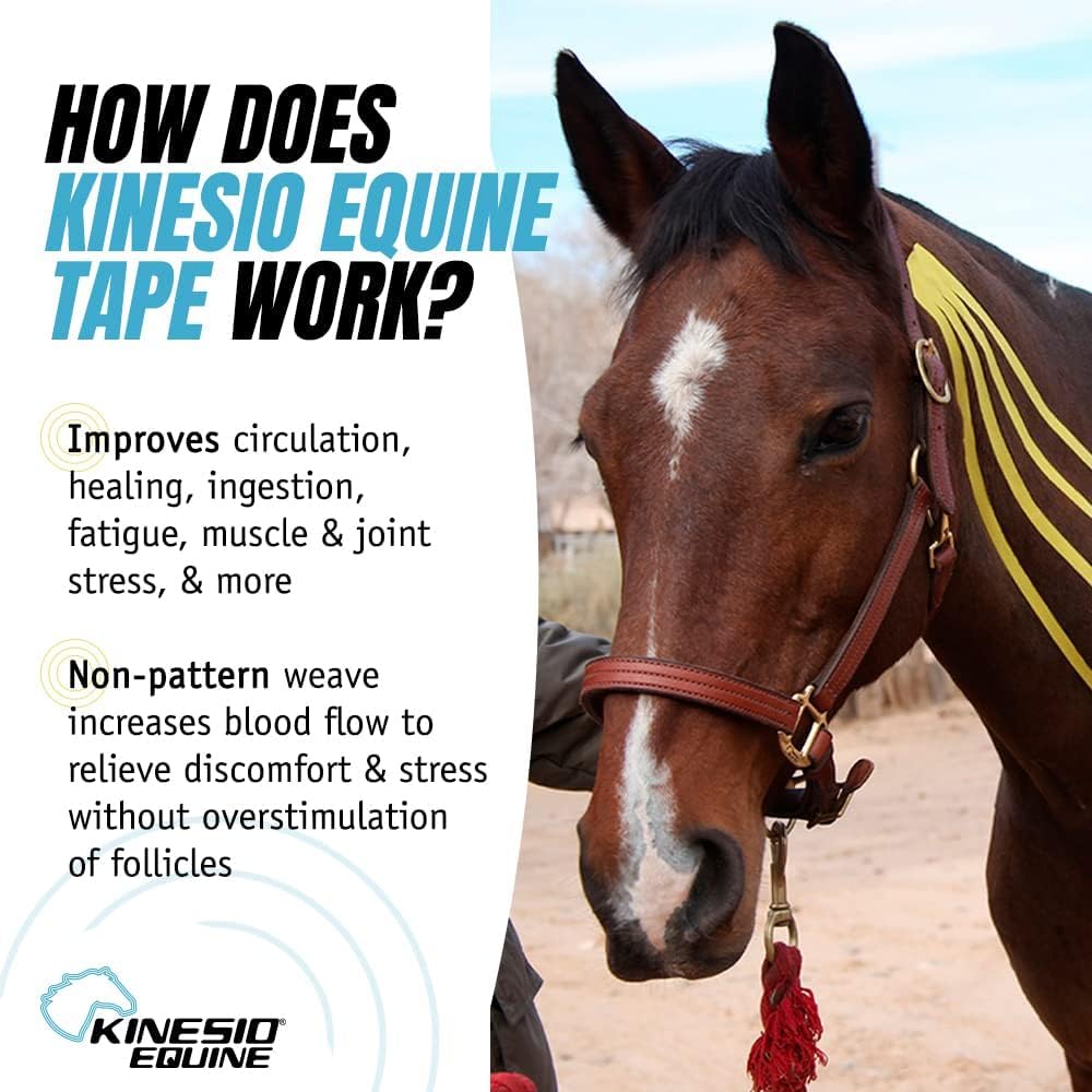 Kinesio Equine Tape - Tex Gold FP Horse Tape -Tape Made Specifically for Horses - 2”x 16’ Rolls - Yellow