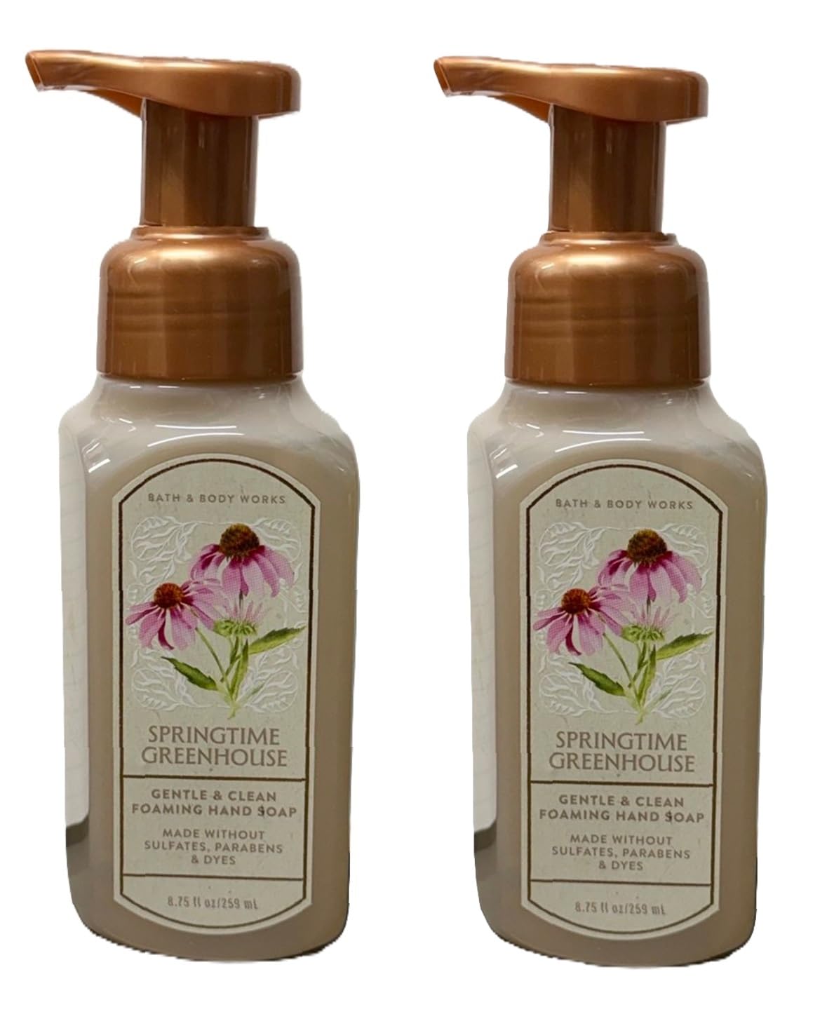 Gentle & Clean Foaming Hand Soap - Waikiki Beach Coconut | 8.75 oz, Pack of 2