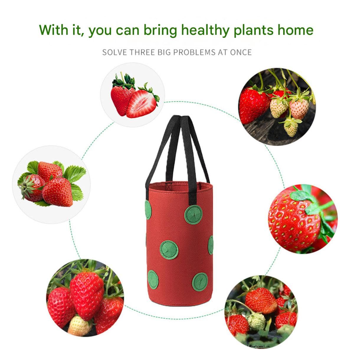 Garden Hanging Tomato Strawberry Planting Grow Bag, 3 Pcs Upside Down Vegetable Planter with 12 Grow Holes and Handle, Grow Hanger Bag for Vegetable Fruit Garden