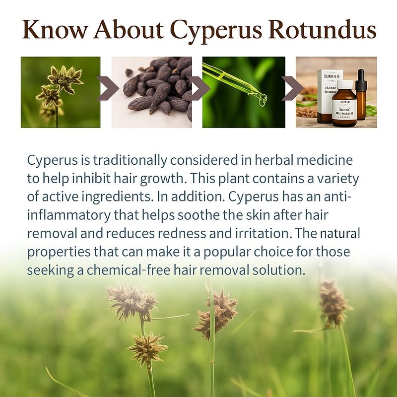 Cyperus Rotundus Oil for Hair Removal - 100% Pure Natural Extract | Smooth Skin, Reduce Body Hair Growth - 60ml (2 Packs)