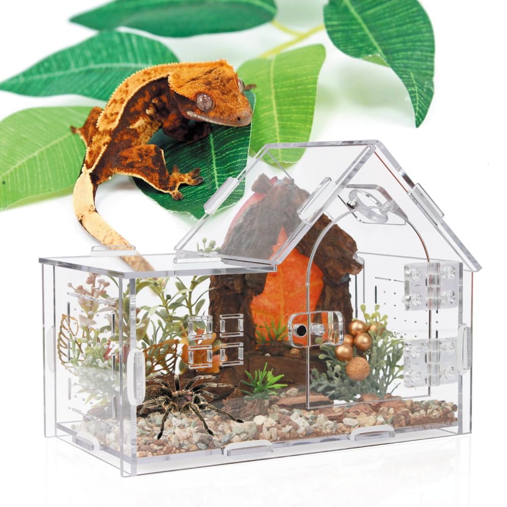 ZUIFIANLE Jumping Spider Enclosure, Acrylic Cabin Terrarium with Sloped Roof & Magnetic Front Door, for Arboreal Pets, Mantis, Small Reptile Habitat (Transparent Color, L 7.9",W 3.9",H 5.9")