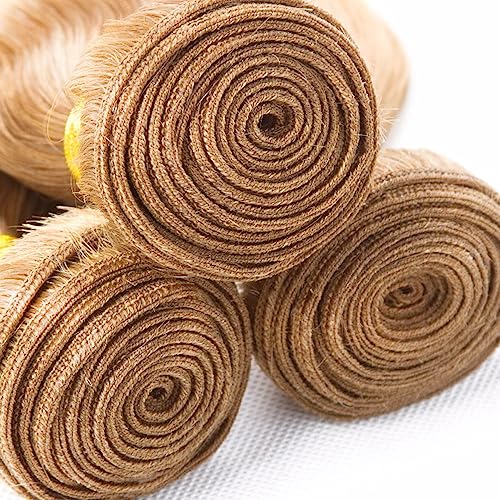 Brazilian Virgin Human Hair Straight Bundles - P27/613 Honey Blonde Highlight