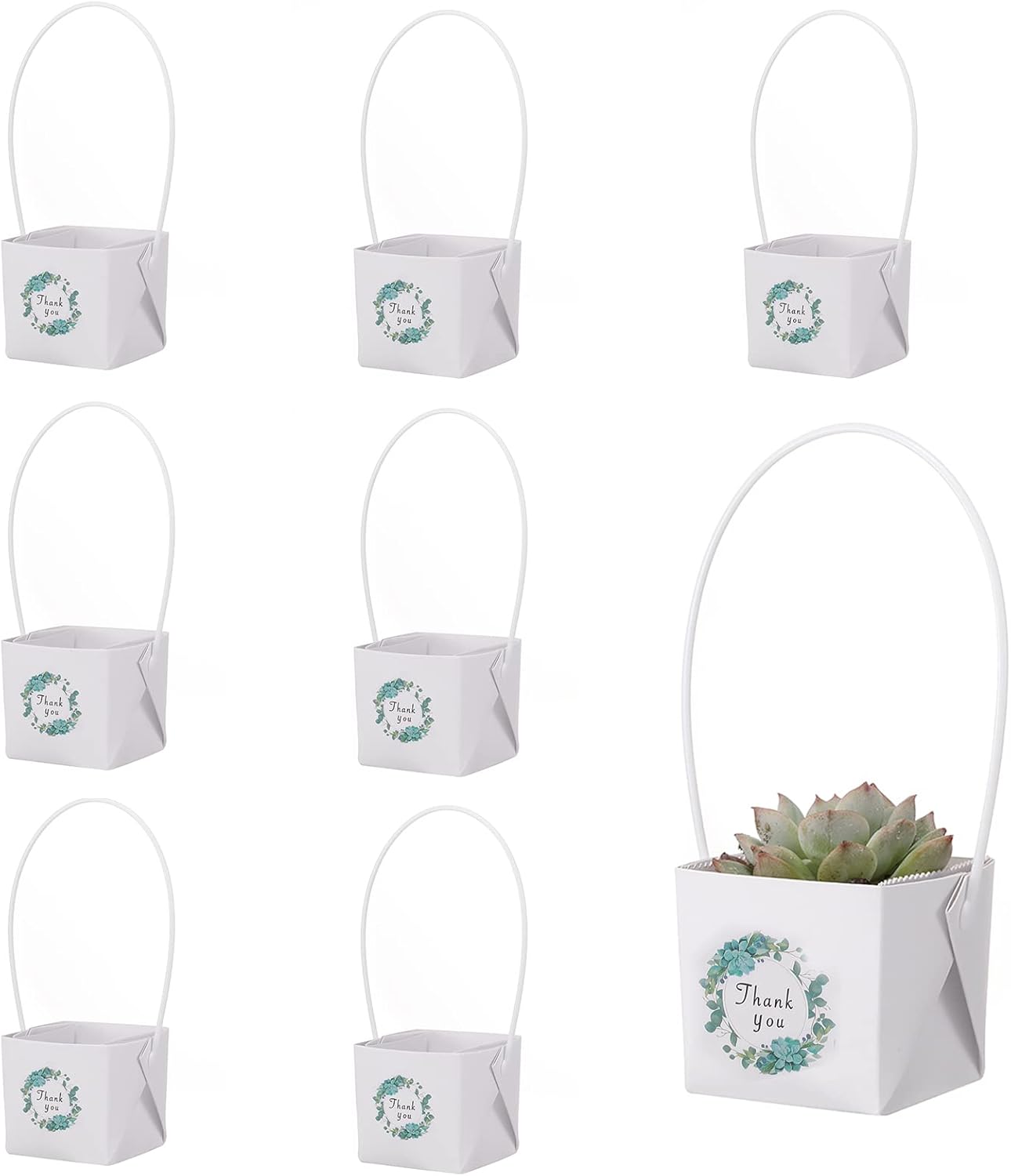 Thank You Succulent Wraps - 40pcs Decorative Sleeves for 2-Inch Pots | Ideal for Weddings & Baby Showers, White