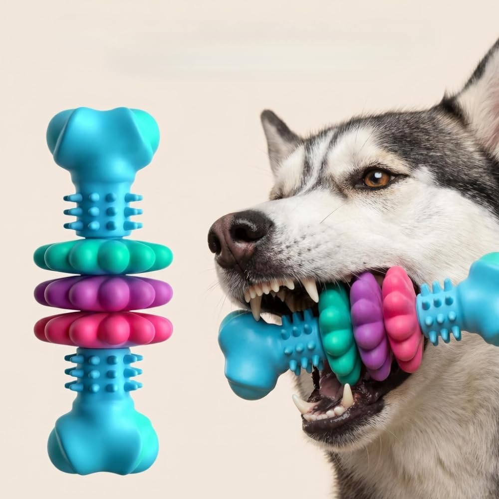 Chew Bone for Aggressive Chewers - Durable Thermoplastic Rubber Dog Toy for Dental Health | Medium Size