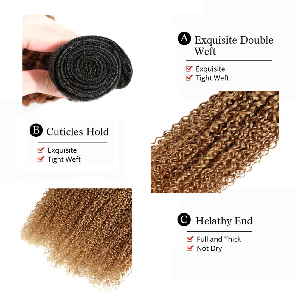 Ombre Human Hair Bundles 1b27 Honey Blonde Kinky Curly Bundles 16 18 20 Inch Unprocessed Brazilian Virgin Hair 3 Bundle Honey Blonde Bundle