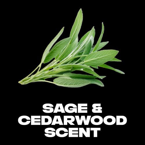 AXE Apollo Antiperspirant Stick 48H Sage & Cedarwood Men’s Deodorant 2.7 oz Pack of 4