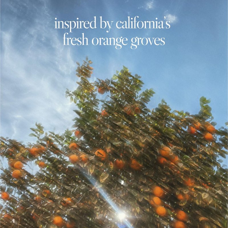Noteworthy n,307 Sunlit Grove Body Mist – Mandarin • Clementine • Basil • Sandalwood • Cypress • Vanilla Milk | Refreshing, Light, Gender-Neutral Fragrance Mist, Travel-Friendly