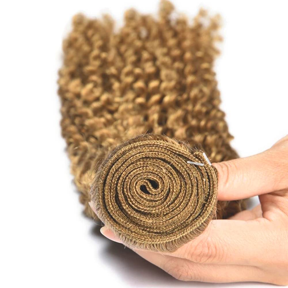 28 30 32 Inch DiexrLamx Hair Blonde Bundles Color #27 Kinky Curly Bundles Unprocessed Peruvian Virgin Hair 3 Bundles Hair Extensions 300g