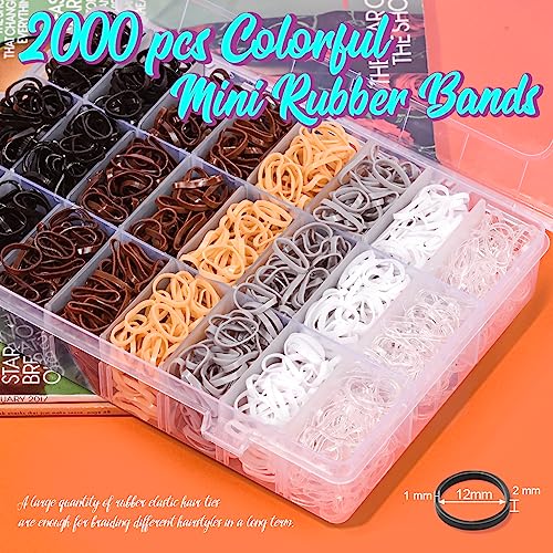 TsMADDTs 2000 Pcs Hair Ties Set with Organizer Box, 7 Natural Colors & Hair Comb