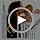 Wireless Ear Wax Removal Camera Kit 1296P HD with 6 Ear Tools & LED Lights