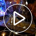 LIIDA LED Fairy String Lights - 12-Pack Mini Lights on Copper Wire