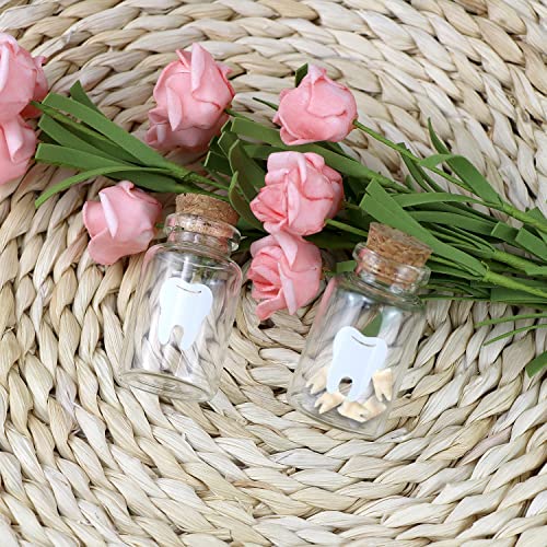 Tooth Fairy Bag Set with Glass Bottles - Kids Keepsake Gift