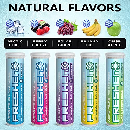 Xero Picks Freshen Infused Flavored Toothpicks - Cooling Breath Freshener, 100 Picks, 5-Pack Variety