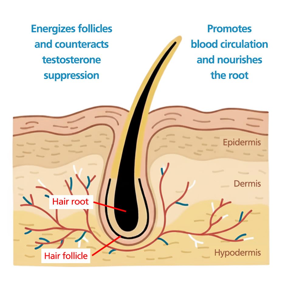 2dDr Hair Growth Serum - Promote Hair Regrowth with Caffeine & Peppermint Oil | 2-Month Supply