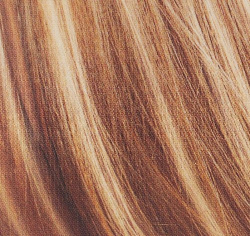 L'Oreal Paris Frost & Design Hair Color Kit - Caramel Shade | 1 Count