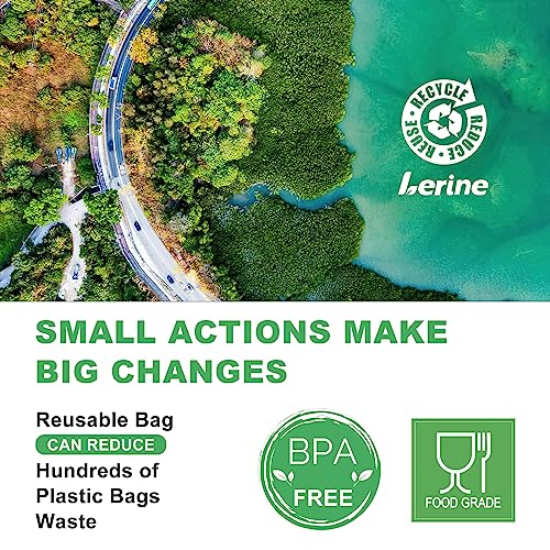 Lerine 10 Pack Reusable Freezer Bags - Dishwasher Safe, BPA-Free