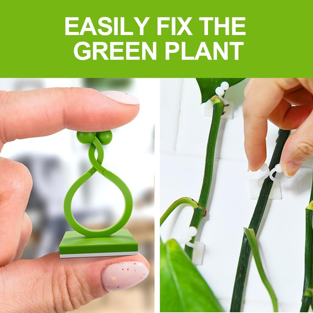 Plant Climbing Wall Fixture Clips - Self-Adhesive Support Hooks for Indoor/Outdoor Vines | 100 Pack, Green