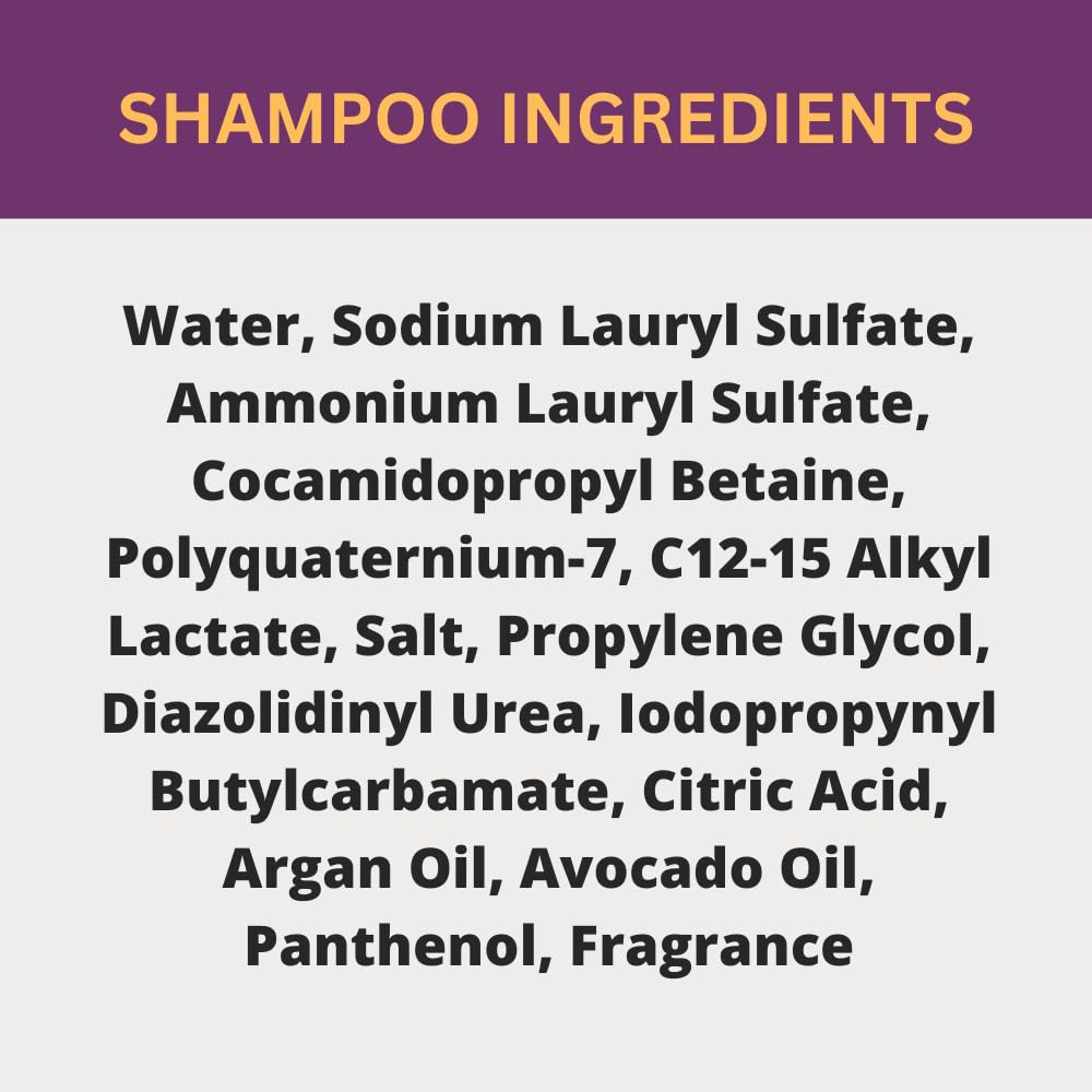Black Canyon Argan Oil Shampoo - Black Currant Vanilla Scent | 16 Oz