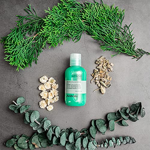 Anthony Invigorating Rush Body Wash & Shampoo, 3.4 Fl Oz - 2-in-1 Cleanser
