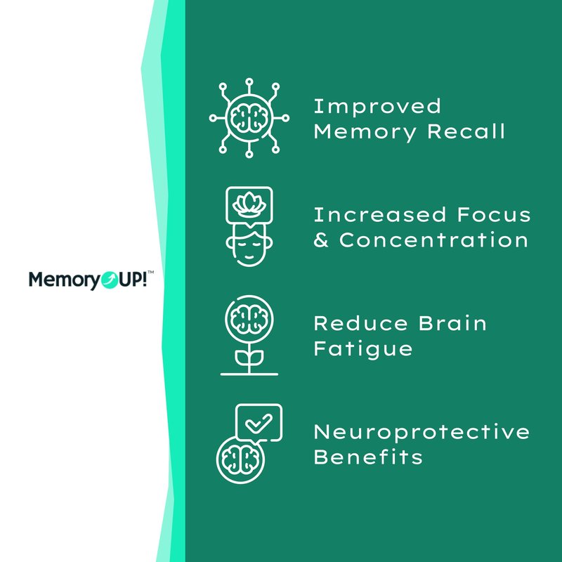 MemoryUP! Sea Scallop-Derived Plasmalogen Supplement for Brain & Cognitive Support, Memory, Focus and Antioxidant Neuro-Support, Ideal for Seniors, Adult Men & Women, 60 Count