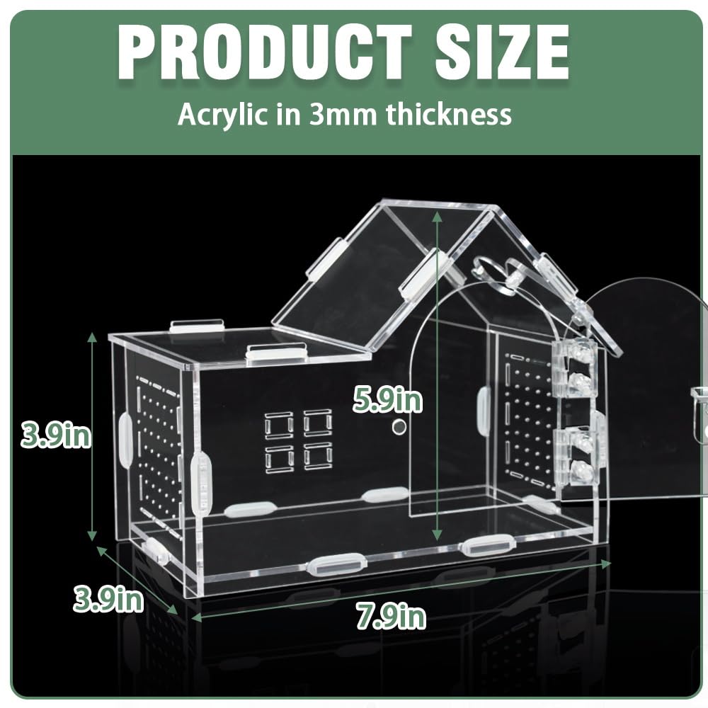 ZUIFIANLE Jumping Spider Enclosure, Acrylic Cabin Terrarium with Sloped Roof & Magnetic Front Door, for Arboreal Pets, Mantis, Small Reptile Habitat (Transparent Color, L 7.9",W 3.9",H 5.9")