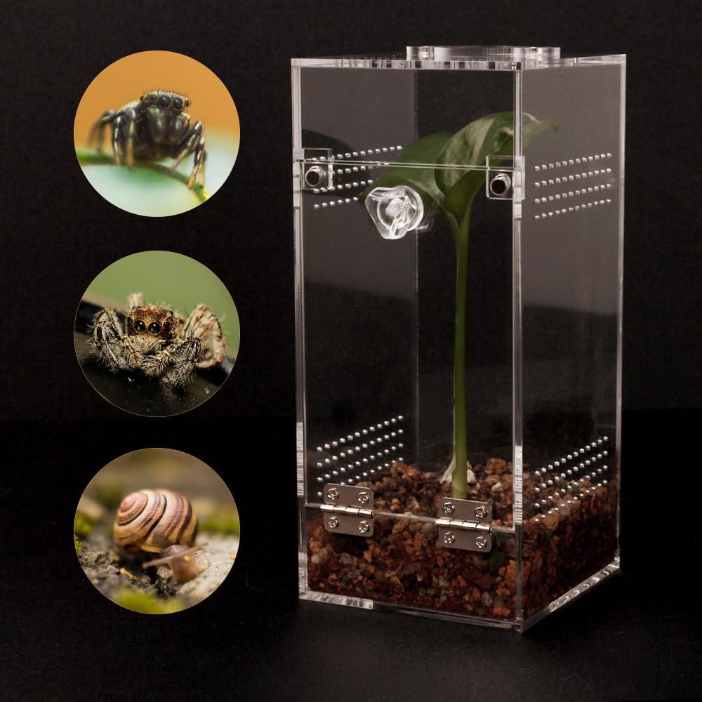 JHCYULUO Jumping Spider & Tarantula Enclosure, Snail & Praying Mantis Habitat, Insect & Small Reptile Terrarium (6.8x3.1x3.1inch)